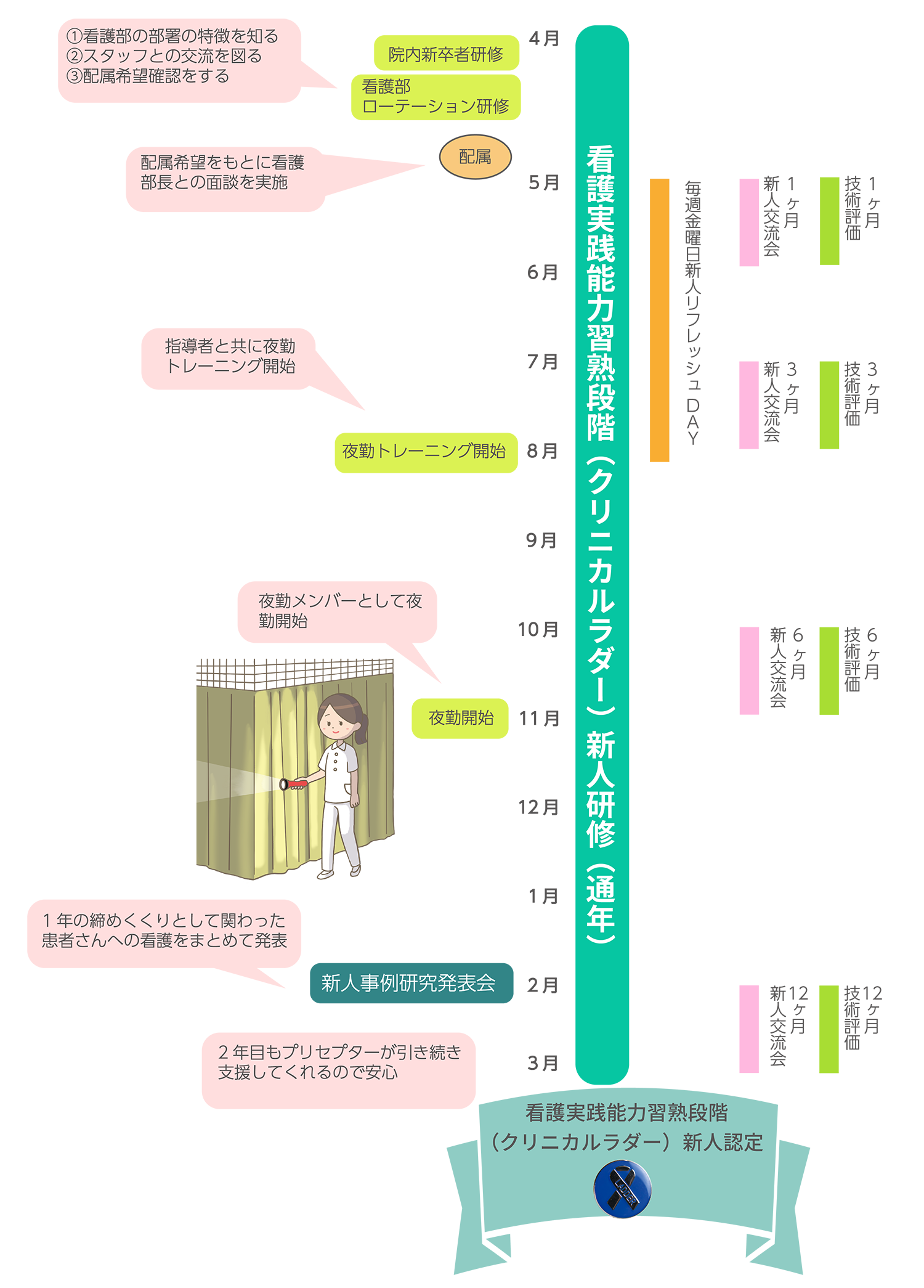 新人年間教育スケジュール