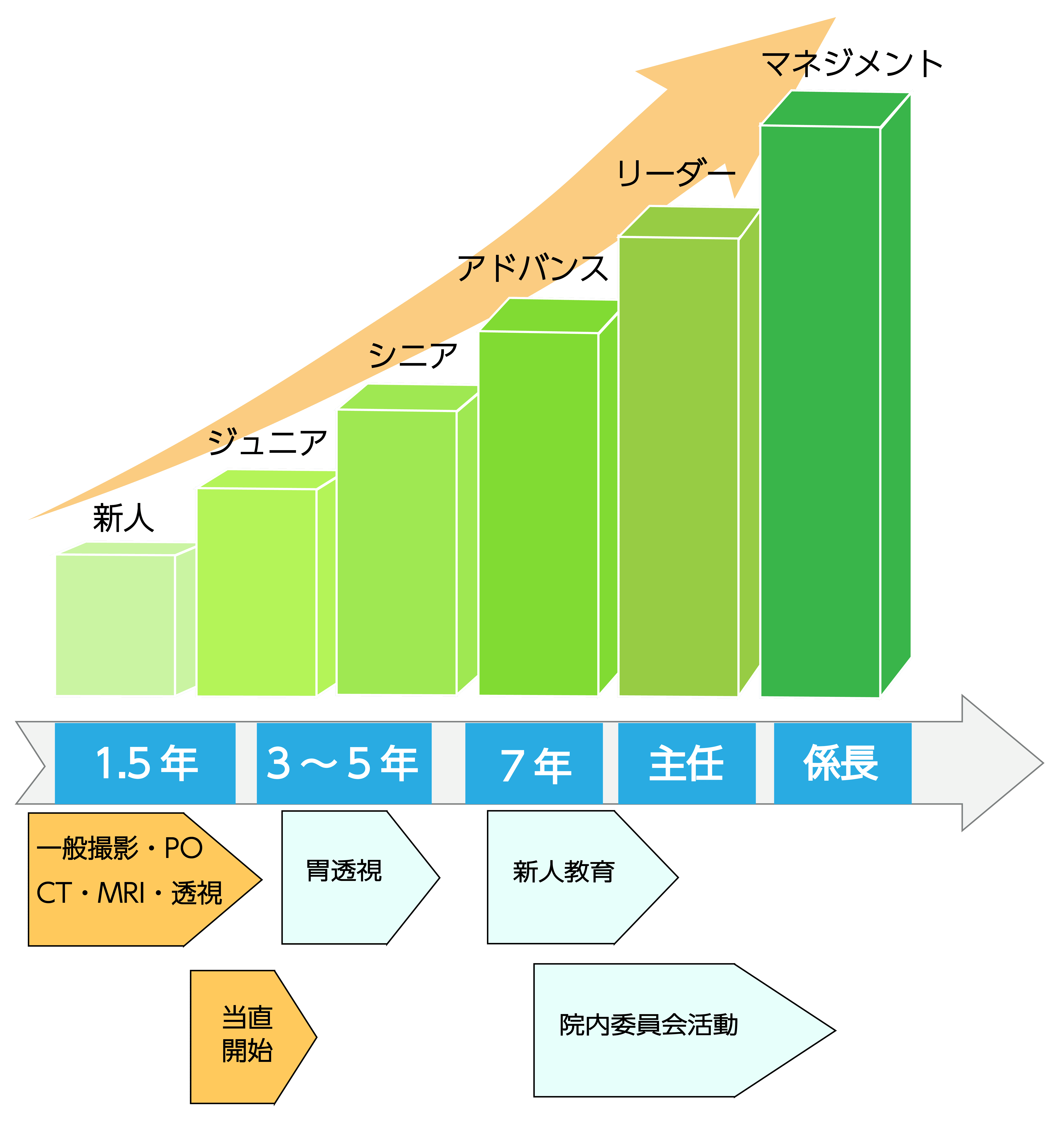 キャリアパス