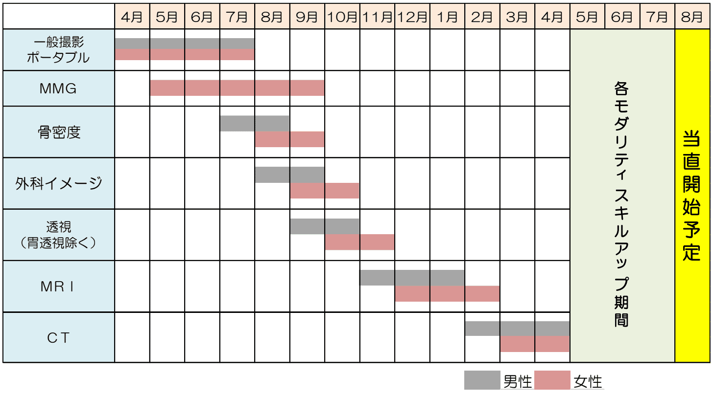 新人業務習得スケジュール