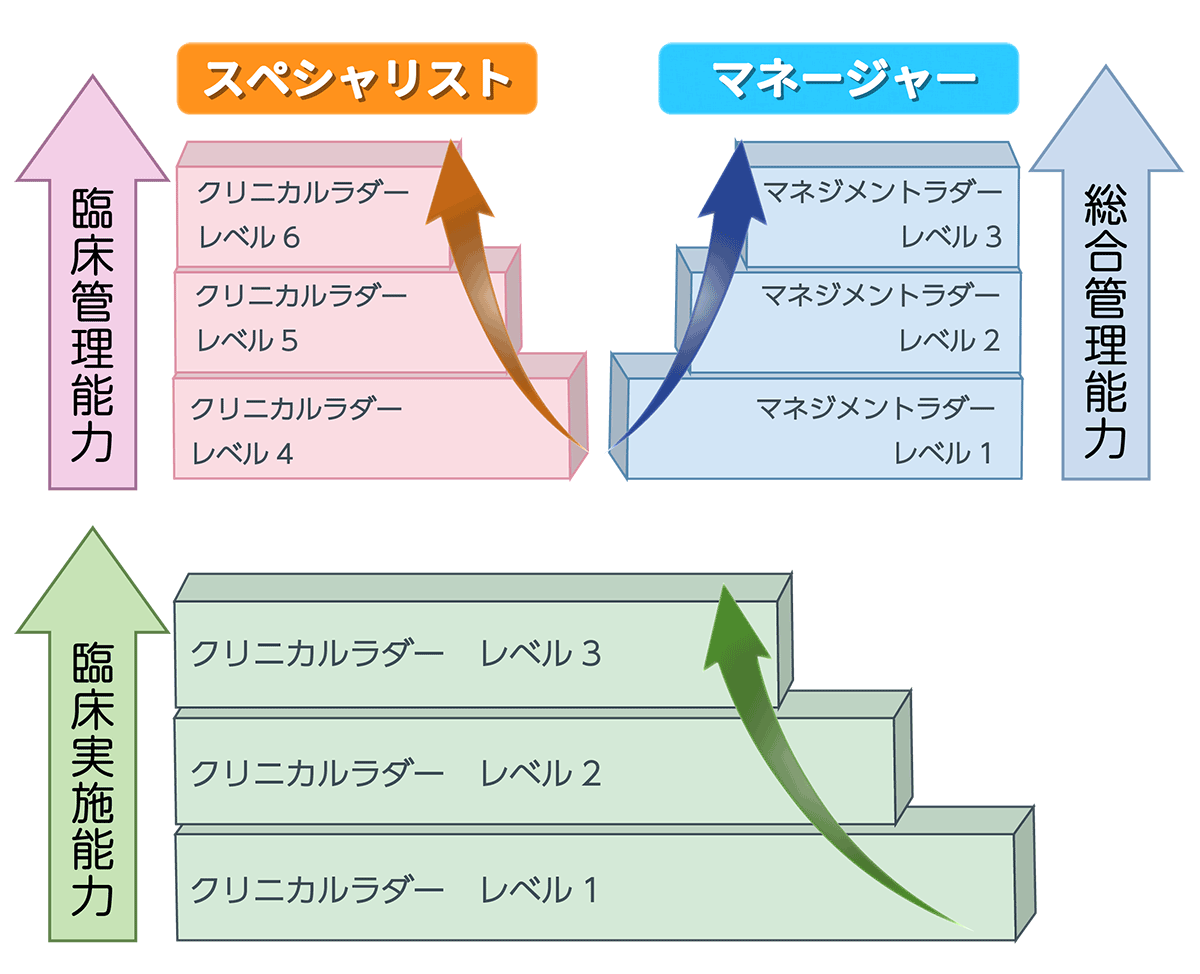キャリアラダー
