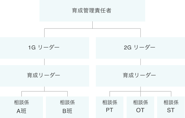 新人職員を育成する組織体制
